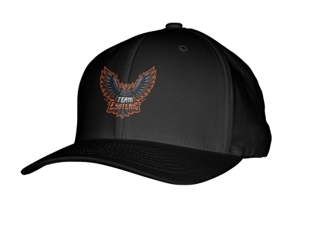 Team Esoteric Flexfit Hat Sale