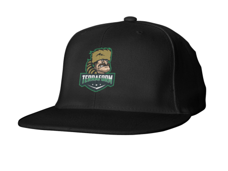 Terraform Gaming Snapback Online now