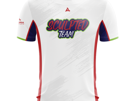 Team Sculpted Short Sleeve Jersey Cheap