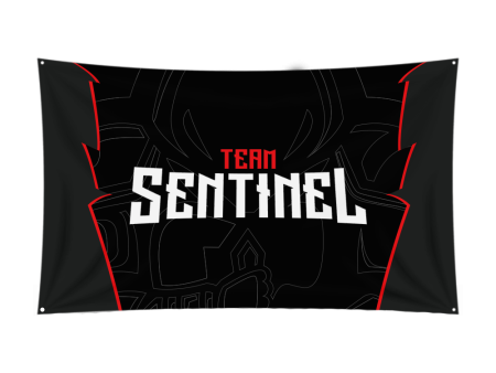 Team Sentinel Flag Discount