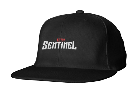 Team Sentinel Snapback For Cheap