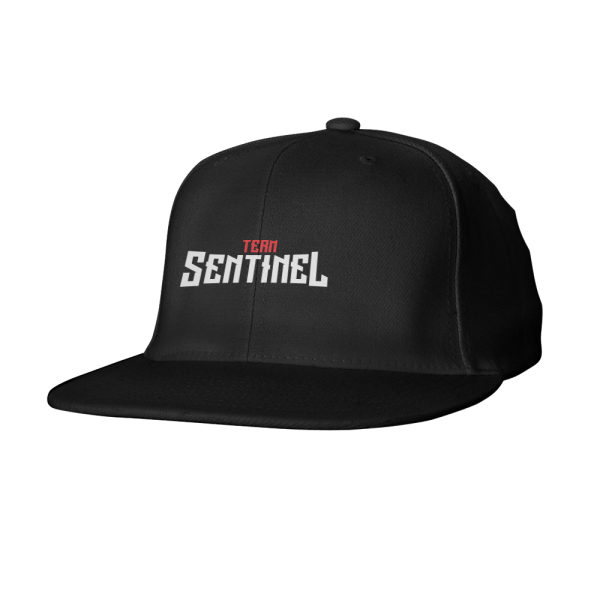 Team Sentinel Snapback For Cheap