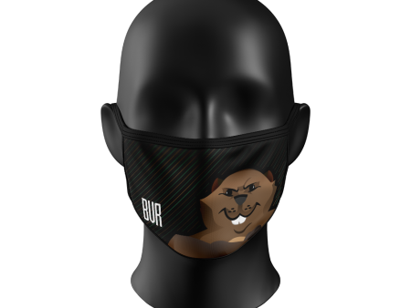 BVR Face Mask Online Sale