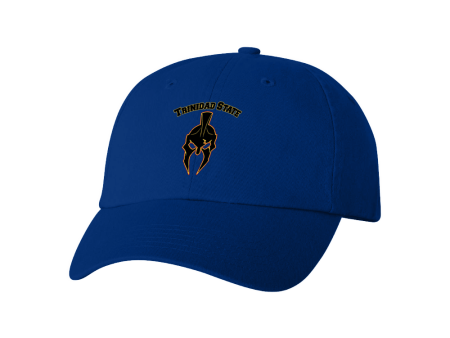 Trinidad State Esports Dad Hat Supply