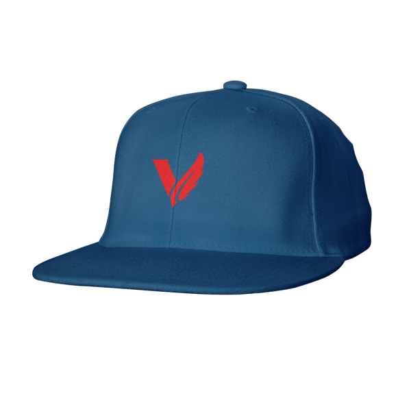 Victory Gaming Snapback Fashion