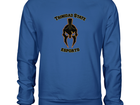 Trinidad State Esports Sweatshirt Hot on Sale