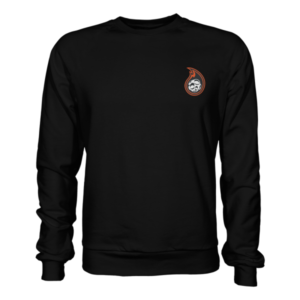 Team Meteor Sweatshirt For Discount