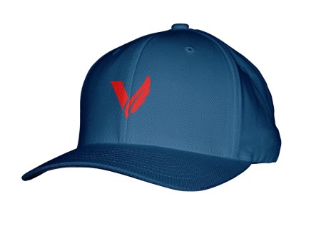 Victory Gaming Flexfit Hat Online now