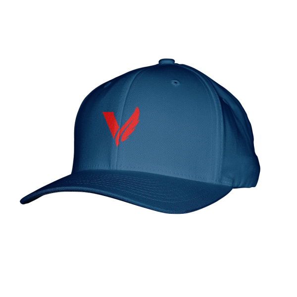 Victory Gaming Flexfit Hat Online now