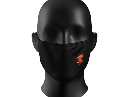 Blayzefox Face Mask Online Hot Sale