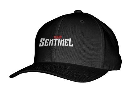 Team Sentinel Flexfit Hat Sale