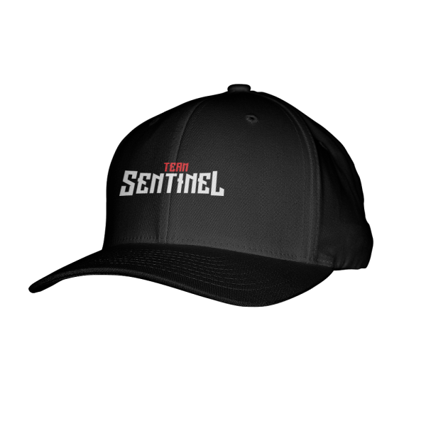 Team Sentinel Flexfit Hat Sale